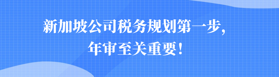 离岸公司 | 新加坡公司税务规划第一步，年审至关重要！(新加坡贸易公司怎么做会计)