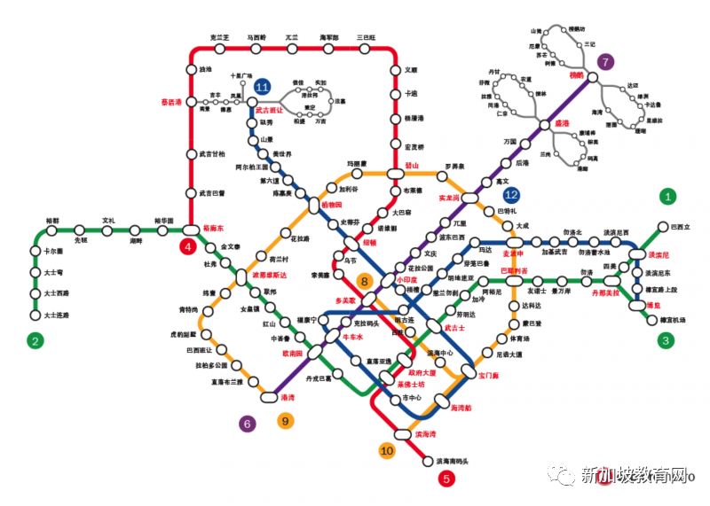 挤地铁还是公交？留学新加坡你还有更多选择(新加坡有哪几个公交公司)