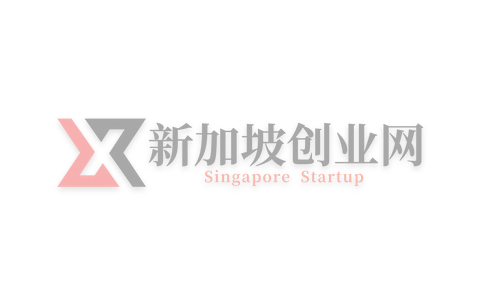 中国企业在新加坡交易所上市的条件及流程(新加坡主板上市公司要求)